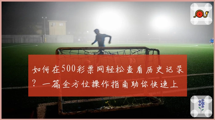 如何在500彩票网轻松查看历史记录？一篇全方位操作指南助你快速上手