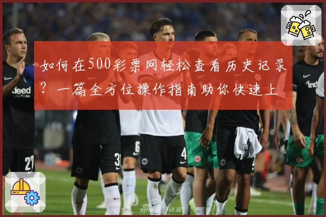 如何在500彩票网轻松查看历史记录？一篇全方位操作指南助你快速上手