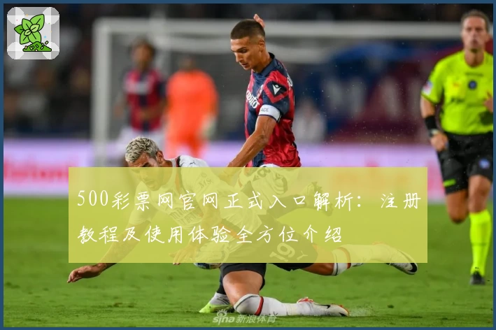 500彩票网官网正式入口解析：注册教程及使用体验全方位介绍