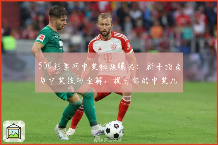 500彩票网中奖秘诀曝光：新手指南与中奖技巧全解，提升你的中奖几率