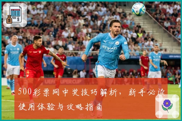 500彩票网中奖技巧解析，新手必读使用体验与攻略指南