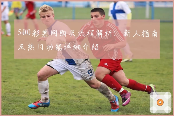 500彩票网购买流程解析：新人指南及热门功能详细介绍