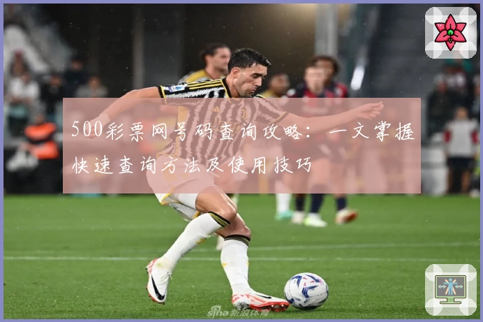 500彩票网号码查询攻略：一文掌握快速查询方法及使用技巧