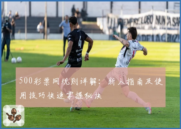 500彩票网规则详解：新人指南及使用技巧快速掌握秘诀
