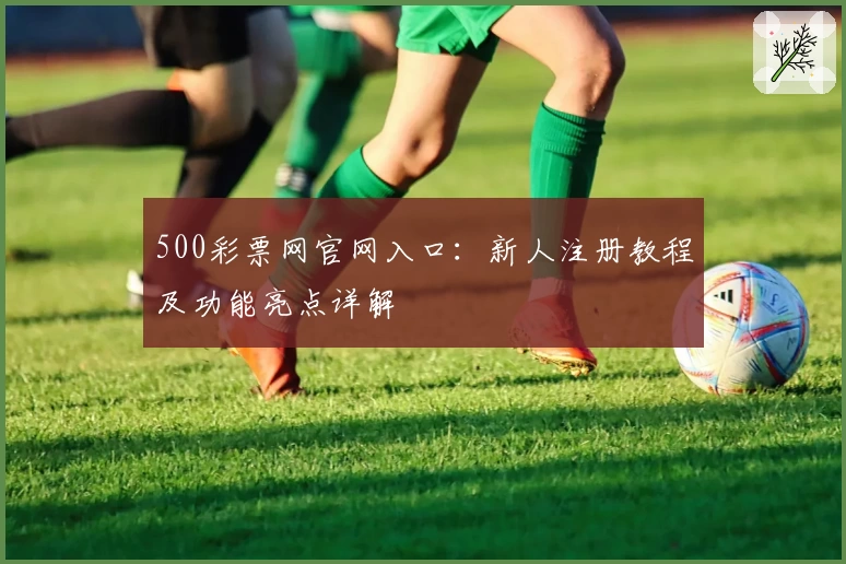 500彩票网官网入口：新人注册教程及功能亮点详解